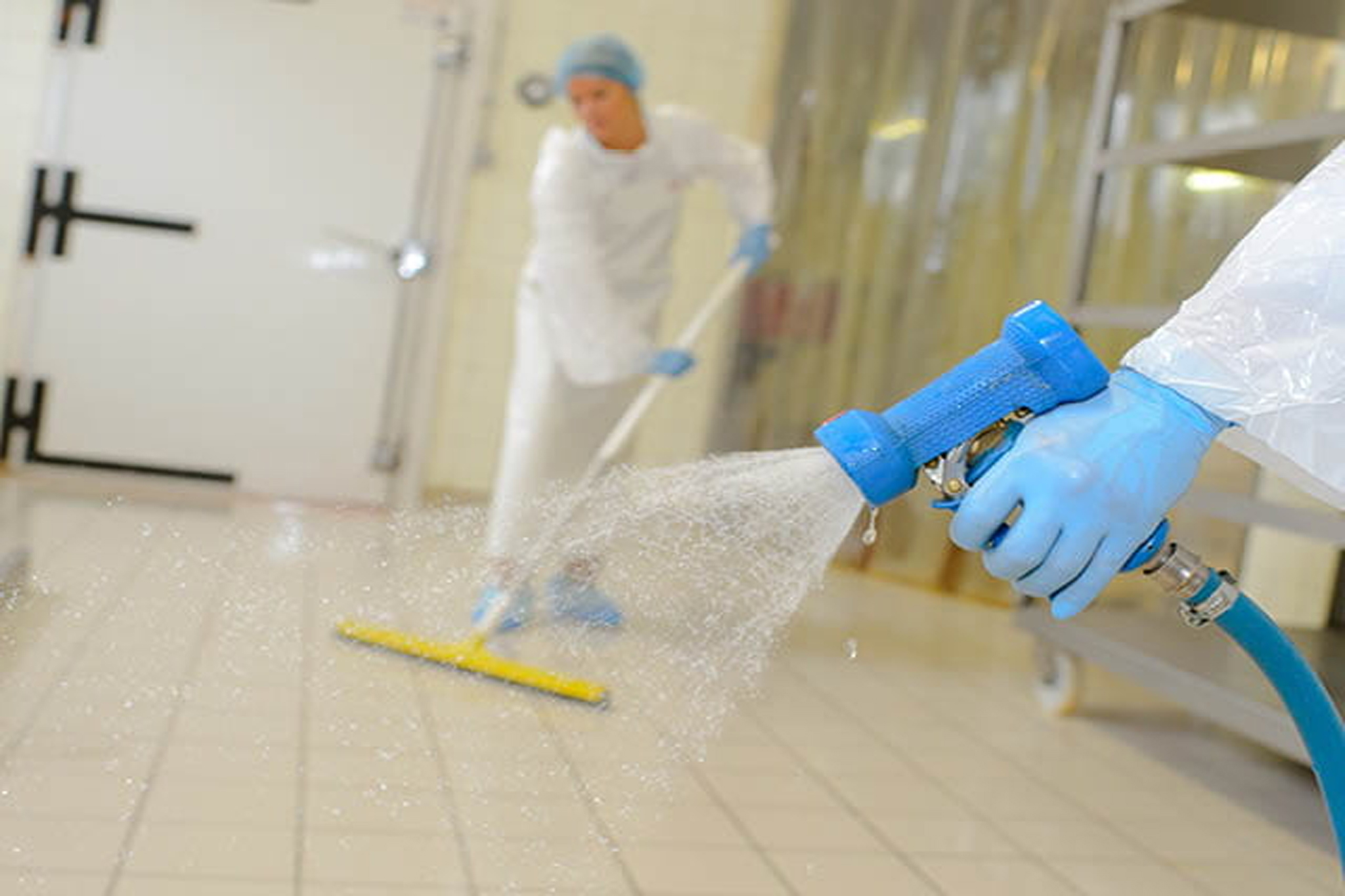 Residential Pest Control